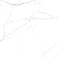 Керамогранит Belleza Rs 159 Carving 60x60