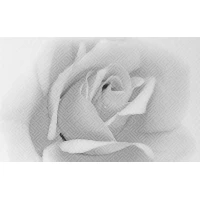 Декор Камелия чёрно-белый 02 25x40