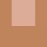 Керамогранит Fioranese Italian Landscape Firenze D R10 20.5x20.5 ILFI20D