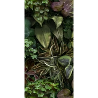 Керамогранит 4100152 Jane B 50x100