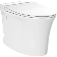 Напольный унитаз с сиденьем микролифт с импульсным смывом IDDIS Pulse PULIDSEi26