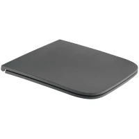 Сиденье для унитаза Wonzon & Woghand WW-S2216-MG с микролифтом, серый матовый