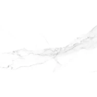 Керамогранит Orlando Bianco Carving 60x120