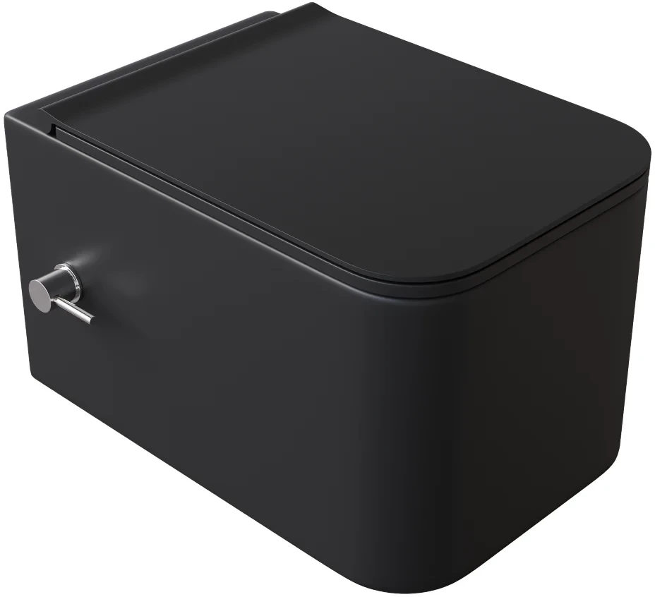 

Унитаз подвесной Boheme Mane 970-SET-2-B безободковый, с функцией биде, с сиденьем микролифт, черный матовый