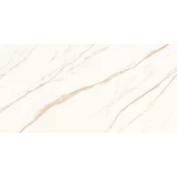 Керамогранит Астро Айвори светло-бежевый SG50004820R 59,5x119,1 матовый