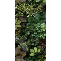 Керамогранит 4100153 Jane C 50x100