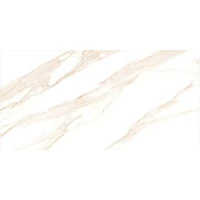 Керамогранит LUNA Gold Sugar 60х120