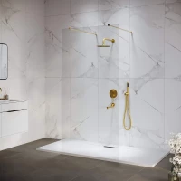 Неподвижная перегородка 118,3 см RGW WA-016Gb Walk-in 35101612-16 прозрачное