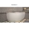 Акриловая ванна 169x109,4 см правая Aquanet Capri 00205387 - 5