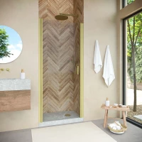 Душевая дверь Vegas Glass EP NOVO h2000 60 03 crystalvision 60 см, профиль золотой матовый, стекло прозрачное