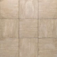 Керамогранит Vintage Ash 20x20