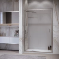 Душевая дверь 100 см RGW PA-21 Passage 06082110-11 прозрачное