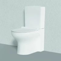 Унитаз-компакт Bien Venus VNKD064N1VP1W5SZ0 безободковый, с функцией биде, с сиденьем микролифт, белый