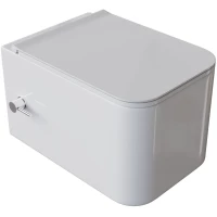 Унитаз подвесной Boheme Mane 970-SET-2-W безободковый, с функцией биде, с сиденьем микролифт, белый