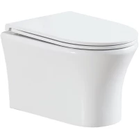 Унитаз подвесной Olive’S Sierra SR30116DP безободковый, с сиденьем микролифт, белый