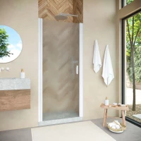 Душевая дверь Vegas Glass EP NOVO 65 01 02 65 см, профиль белый, стекло шиншилла