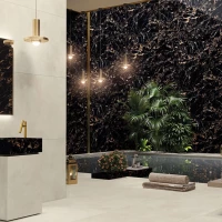 Коллекция плитки Flais Granito Golden Portpro