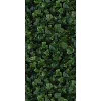 Керамогранит 4100155 Jane E 50x100