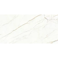 Керамогранит х9999295344 Европа Голд белый 60x120 Матовый Карвинг