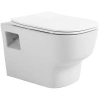 Унитаз подвесной Avimano Tradition 1000090 безободковый, с сиденьем микролифт, белый глянец