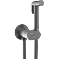 Гигиенический душ WeltWasser Higi R01 GG 10000013655 CoolStart, со смесителем, оружейная сталь матовый