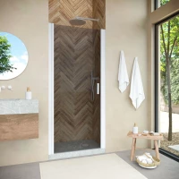 Душевая дверь Vegas Glass EP NOVO 65 01 07 65 см, профиль белый, стекло графитовое