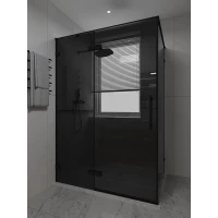 Душевой уголок Veconi Premium Alassio AL-SP-12080-00-BB-C4 119,5x80 см, профиль черный матовый, стекло черное