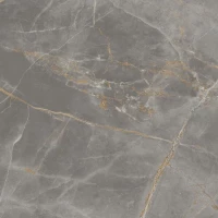 Керамогранит AFVA Marvel Fior di Bosco Lappato 120x120