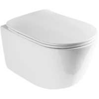 Унитаз подвесной AXA Eva WCWH8801001 безободковый, с сиденьем микролифт, белый глянец