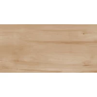 Керамогранит Paint Wood Bone Matt 60x120