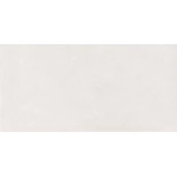 Керамогранит Aster Dew Fullbody Carving 60x120