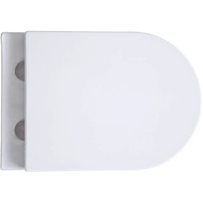 Унитаз подвесной Avimano Intuition 1001060 безободковый, с сиденьем микролифт, белый глянец