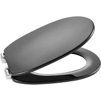 Сиденье для унитаза с микролифтом Roca Carmen 801B5238B