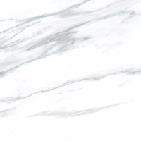 Керамогранит Prime E-3040 матовый 60x60