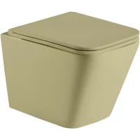Унитаз подвесной WeltWasser Gelbach 004MT-GN безободковый, с сиденьем микролифт, оливковый матовый
