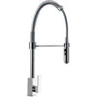 Смеситель для кухни Remer Gourmet Q77