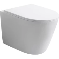 Унитаз подвесной Veconi Ando VAN-48T безободковый, торнадо, с сиденьем микролифт, белый