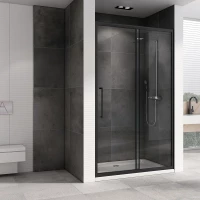 Душевая дверь 170 см Abber Schwarzer Diamant AG30170BH прозрачное