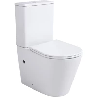 Чаша напольного безободкового унитаза с сиденьем микролифт Sintesi Essler SIN-TP-SLR-281