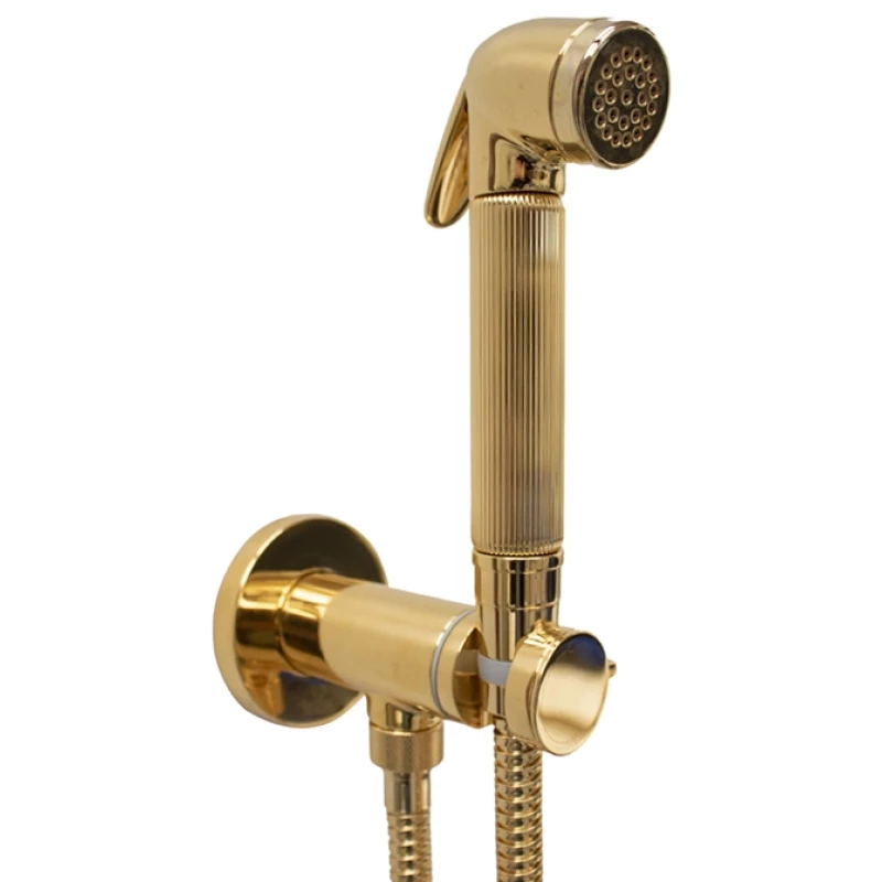 Гигиенический душ Bossini Nikita E37008B.021 со смесителем, золотой