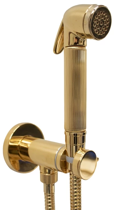Гигиенический комплект Bossini Nikita E37008B.021 золото гигиенический душ со смесителем bossini