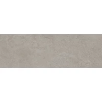 Плитка 031.627.0408.15503 Portwall Greige Mate Rect 33,3x100