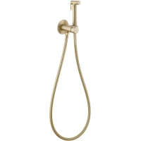 Гигиенический душ Abber Wasser Kreis AF8125G со смесителем, золотой матовый