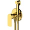 Гигиенический душ Remer Infinity I65WDO со смесителем, золотой - 1