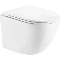 Унитаз подвесной GID Tr2122 безободковый, с сиденьем микролифт, белый