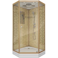 Душевая кабина 100x100x210 см Niagara NG-7702DG прозрачное