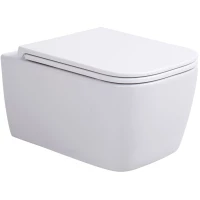 Унитаз подвесной Sintesi Balti SIN-TS-BLT-171 безободковый, с сиденьем микролифт, белый глянец