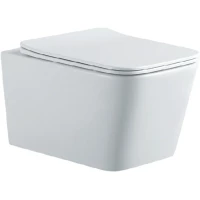 Унитаз подвесной Aquatek Либра AQ0530N-00 безободковый, с сиденьем микролифт, белый