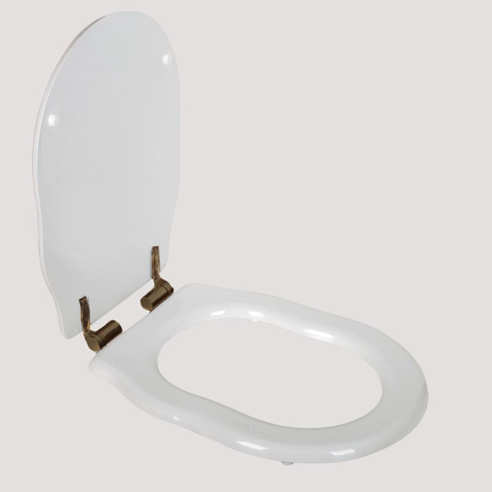 Сиденье для подвесного унитаза с микролифтом белый/бронза Tiffany World Bristol TWBR63bi/br