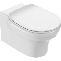 Унитаз подвесной Jacob Delafon Cleo 1889 EDZ102-0 + E24048-0 безободковый, с сиденьем микролифт, белый